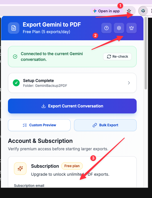 Open Account & Subscription in the Export Gemini to PDF popup