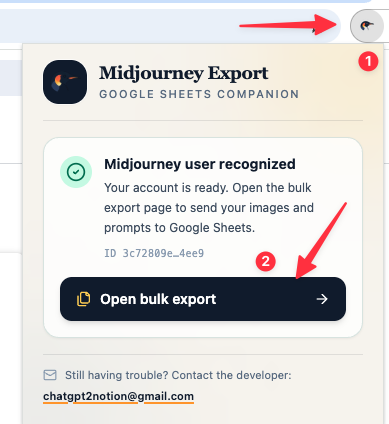 Confirm the Midjourney account before export